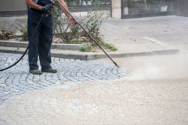 Best Sidewalk and Walkway Cleaning  in Ackerman, MS