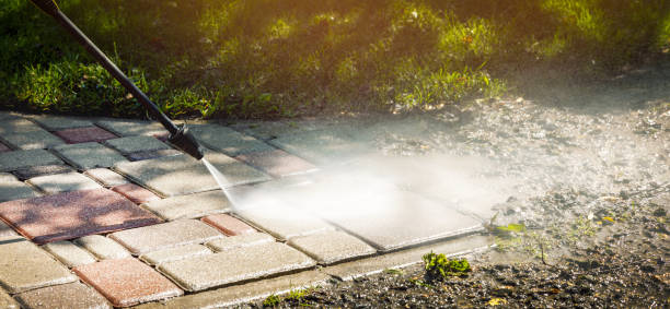 Best Fence Cleaning  in Ackerman, MS